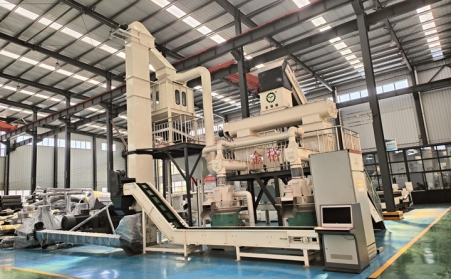 每小時3噸生物質茄子影视视频在线观看生產線，需要多少錢？