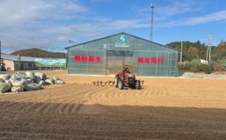 黑龍江鶴立林業局：生物質顆粒產業點燃綠色發展新引擎