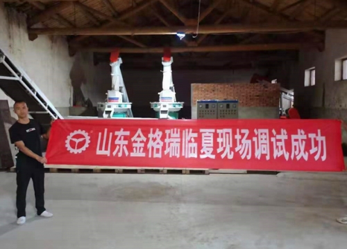 甘肅臨夏年產1萬5千噸生物質燃料茄子影视视频在线观看生產線調試完成